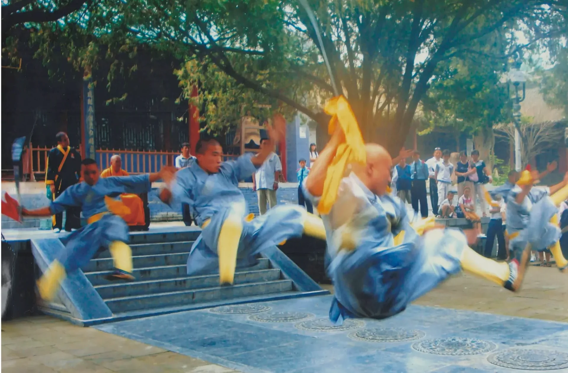 The Shaolin Way book